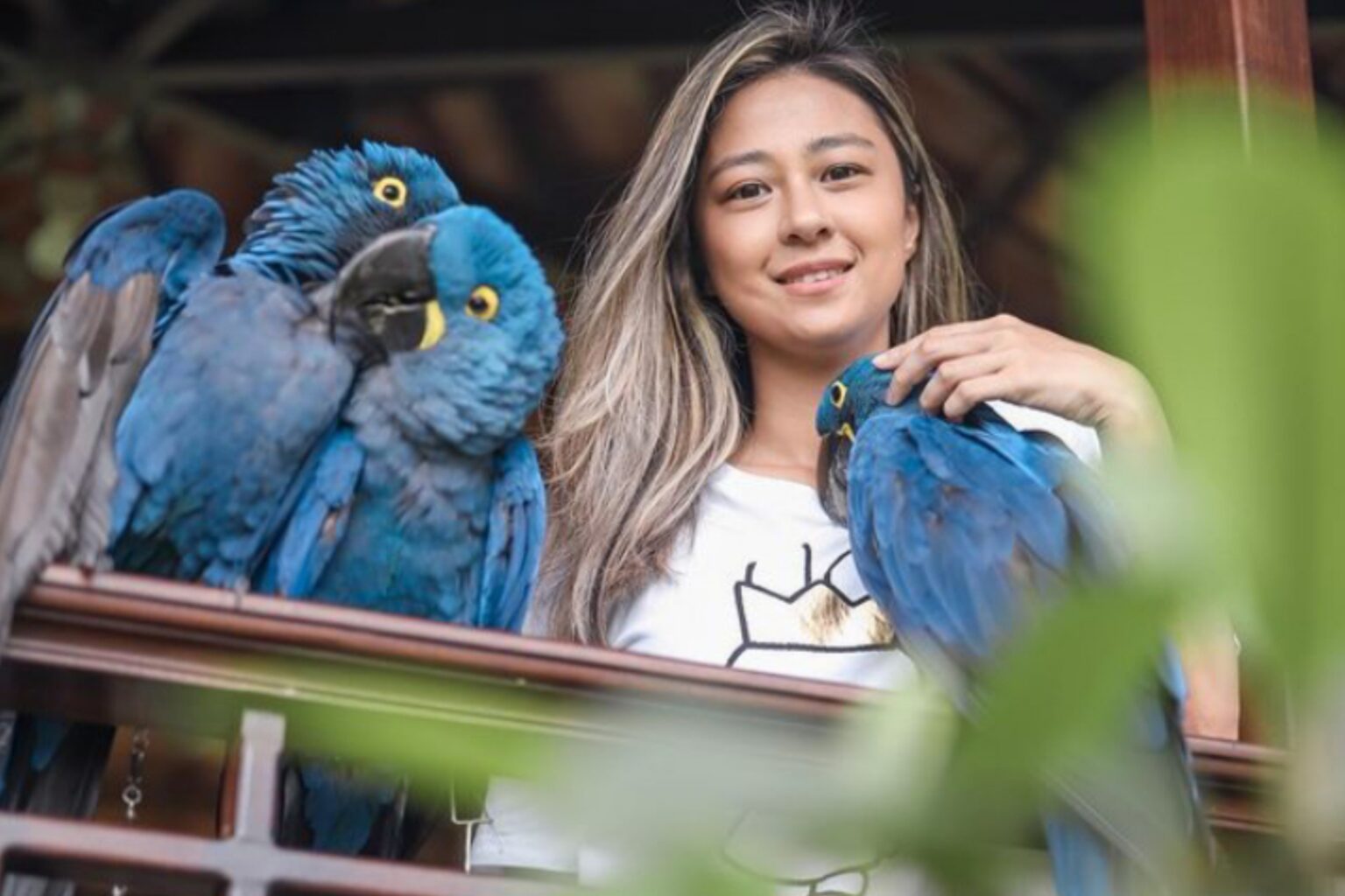 Mengenal Suami Jacqueline Bastiaan Wijaya Lebih Dekat